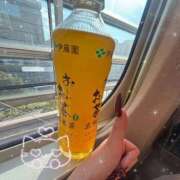 ヒメ日記 2025/11/01 14:50 投稿 れい 風俗の神様　浜松店