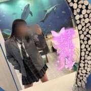 ヒメ日記 2025/11/02 16:30 投稿 れい 風俗の神様　浜松店