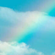 ヒメ日記 2025/08/30 09:35 投稿 のえる 栃木宇都宮ちゃんこ