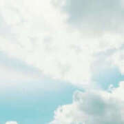 ヒメ日記 2025/08/31 09:35 投稿 のえる 栃木宇都宮ちゃんこ