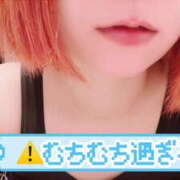 ヒメ日記 2025/09/13 09:45 投稿 のえる 栃木宇都宮ちゃんこ
