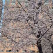 ヒメ日記 2026/03/30 10:39 投稿 安達りん 断りきれない美人マッサージ嬢たち