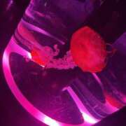 ヒメ日記 2025/08/29 18:10 投稿 みつば 僕らのぽっちゃリーノin大宮