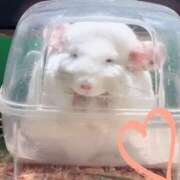 みつば 休日ฅ^•ω•^ฅ 僕らのぽっちゃリーノin大宮