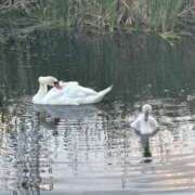 ヒメ日記 2025/10/27 09:00 投稿 みつば 僕らのぽっちゃリーノin春日部