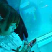 ヒメ日記 2025/09/12 11:14 投稿 のあ プレミアム(福原)