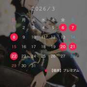 ヒメ日記 2026/02/25 03:41 投稿 のあ プレミアム(福原)