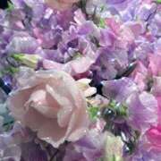 蓮華とあ 今日から復活しますが... ワイフコレクション