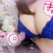 ヒメ日記 2026/05/02 14:47 投稿 ゆき 水戸人妻花壇