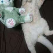 ヒメ日記 2025/08/24 22:51 投稿 月嶋(つきしま) 相模原人妻城