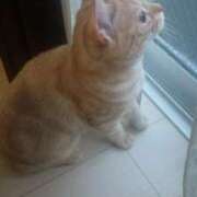 ヒメ日記 2025/08/25 19:30 投稿 月嶋(つきしま) 相模原人妻城