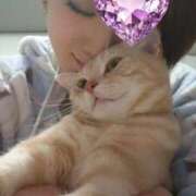 ヒメ日記 2025/09/18 08:51 投稿 月嶋(つきしま) 相模原人妻城