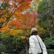 ヒメ日記 2026/01/09 16:33 投稿 れい ギャルズネットワーク大阪