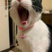 ヒメ日記 2025/09/13 11:37 投稿 ふみ ぷるるんマダム 難波店