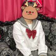 ヒメ日記 2025/12/20 11:47 投稿 わこ VIVIDCREW十三店