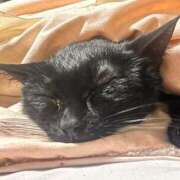 ヒメ日記 2025/12/04 13:34 投稿 かの 君とふわふわプリンセスin西川口