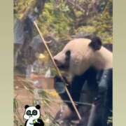 ヒメ日記 2025/08/27 18:21 投稿 ましろ 聖女(マリア)