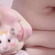 ヒメ日記 2026/04/08 08:30 投稿 ののか 山口周南ちゃんこ