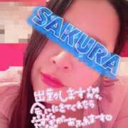 ヒメ日記 2025/11/22 10:17 投稿 結城さくら シャトーペトラ