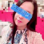 ヒメ日記 2025/11/23 01:22 投稿 結城さくら シャトーペトラ