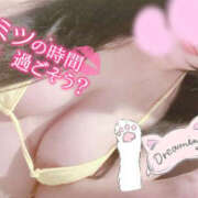 ヒメ日記 2025/10/04 18:55 投稿 うた ぼいんWORK