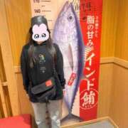 ヒメ日記 2025/11/14 16:01 投稿 ドジっ娘ぴよまる にゃんだ☆full☆MIX（にゃんだふるみっくす）