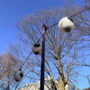 ヒメ日記 2026/01/04 23:06 投稿 のん 三浦屋別館