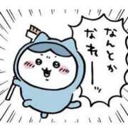 ヒメ日記 2026/08/15 02:36 投稿 のん 三浦屋別館