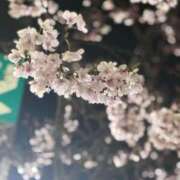 ヒメ日記 2025/10/03 20:06 投稿 ひな★経験極浅！ロリ系JD★ S級素人清楚系デリヘル chloe