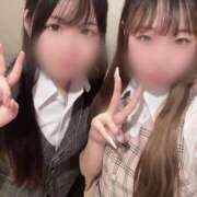 ヒメ日記 2025/12/29 12:02 投稿 てぃな セグレターリオ