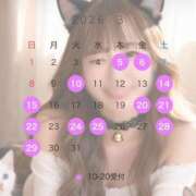 ヒメ日記 2026/03/05 08:00 投稿 てぃな セグレターリオ