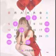 ヒメ日記 2026/03/24 08:01 投稿 てぃな セグレターリオ