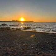 ヒメ日記 2025/12/16 14:46 投稿 あん 三浦屋別館