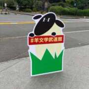 ヒメ日記 2025/10/21 08:36 投稿 さくらこ 三浦屋別館