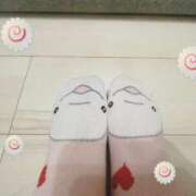 ヒメ日記 2025/10/24 19:26 投稿 さくらこ 三浦屋別館