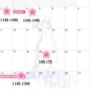 ヒメ日記 2025/10/27 13:36 投稿 さくらこ 三浦屋別館