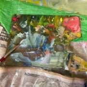 さくらこ 🌸 三浦屋別館