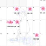 ヒメ日記 2025/12/30 09:46 投稿 さくらこ 三浦屋別館