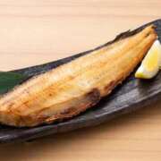 ヒメ日記 2026/02/13 18:59 投稿 さくらこ 三浦屋別館