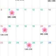 ヒメ日記 2026/02/26 14:16 投稿 さくらこ 三浦屋別館