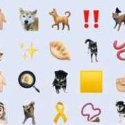 ヒメ日記 2026/03/09 06:56 投稿 さくらこ 三浦屋別館