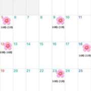 さくらこ 4月のシフト🗓 三浦屋別館