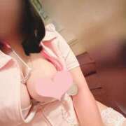 ヒメ日記 2026/07/31 06:36 投稿 さくらこ 三浦屋別館