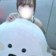 ヒメ日記 2025/08/24 22:04 投稿 響れの ブルーバード