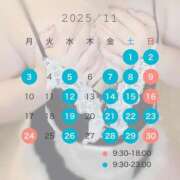 ヒメ日記 2025/10/27 07:56 投稿 ひより 三浦屋別館