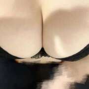 ヒメ日記 2025/11/16 07:26 投稿 ひより 三浦屋別館