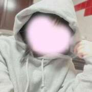 ヒメ日記 2025/11/30 09:21 投稿 ひより 三浦屋別館