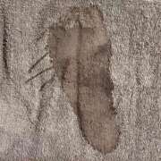 ヒメ日記 2025/12/12 06:36 投稿 ひより 三浦屋別館