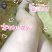 ヒメ日記 2026/01/17 08:56 投稿 ひより 三浦屋別館