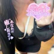 ヒメ日記 2026/01/17 23:56 投稿 ひより 三浦屋別館